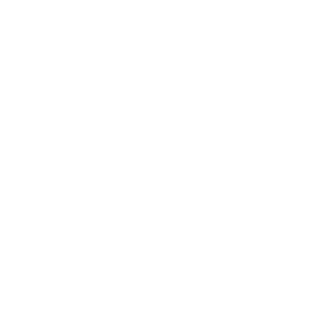 logo SGS ISO